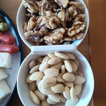 船屋 Barca Alto Livello 丽都迪奥斯蒂亚